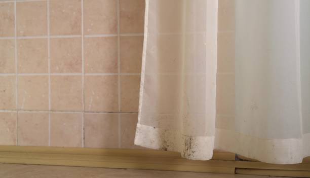 Best Mold Remediation for Healthcare Facilities  in Peralta, NM