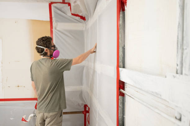 Best Emergency Mold Remediation  in Peralta, NM