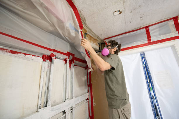Best Post-Construction Mold Inspection  in Peralta, NM