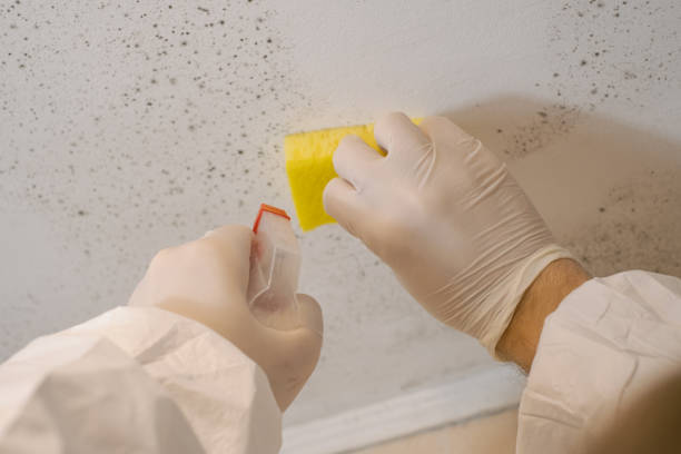Best Indoor Air Quality Assessment  in Peralta, NM