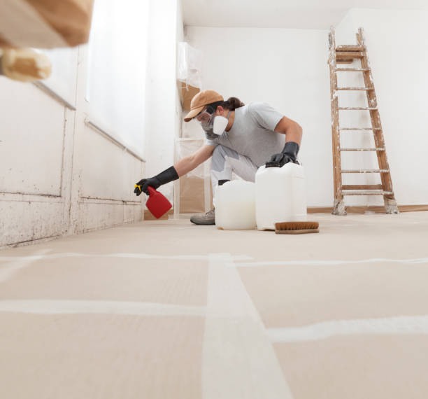 Best Asbestos and Lead Testing During Mold Inspection  in Peralta, NM